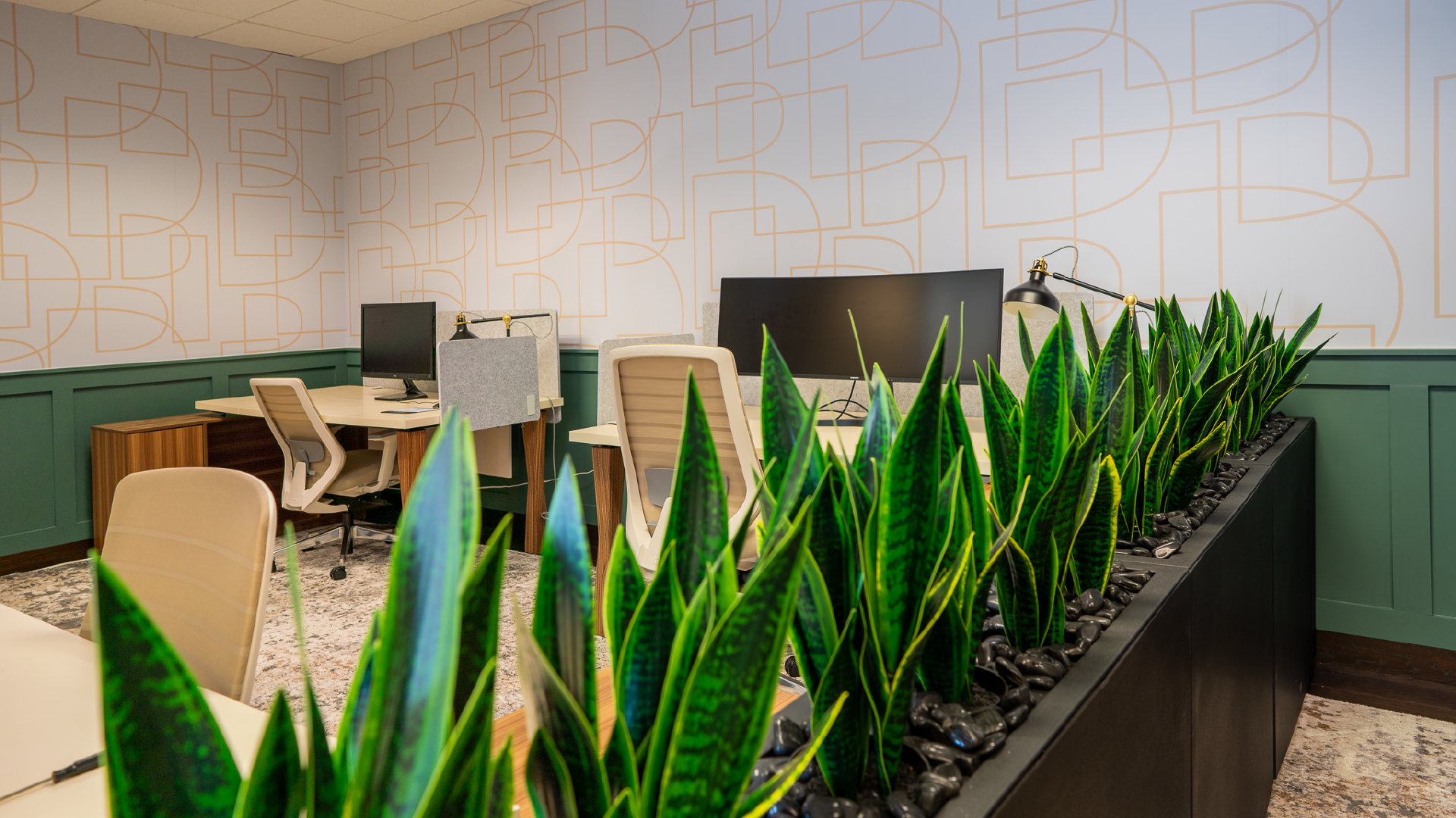 office interior design and furniture selection for benefit architects light colored desk with light wood accents and light colored office chairs and fake greenery and a custom wall graphic